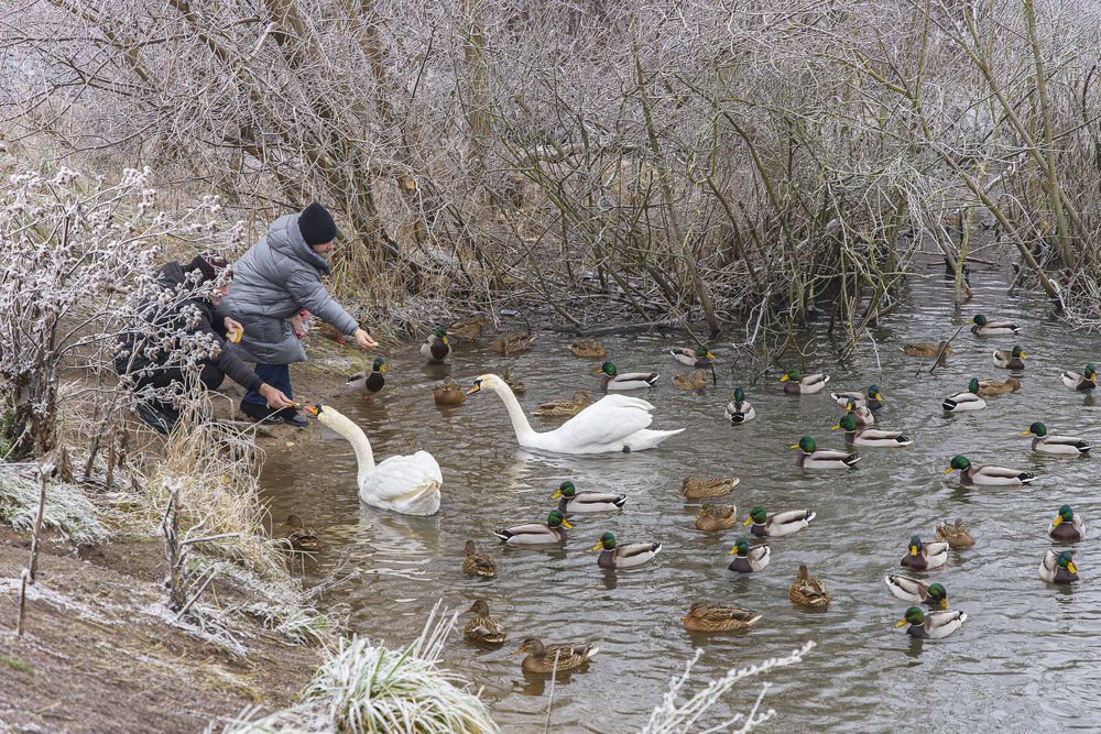 Photograph by Вадим Копилец