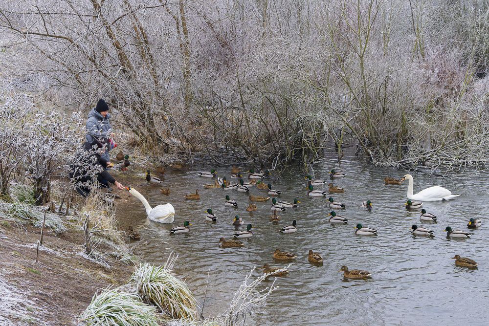 Photograph by Вадим Копилец