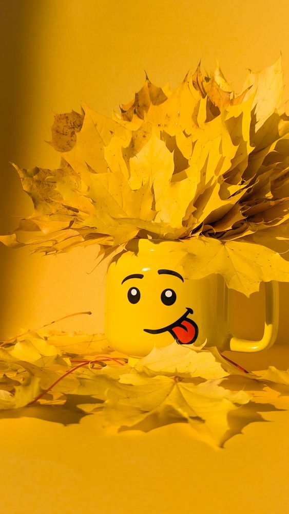 Photograph by Iryna Usanova