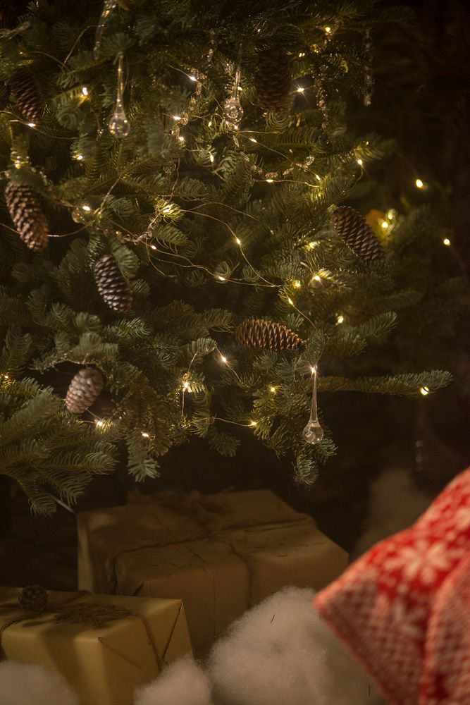 Photograph by Луцук Мария