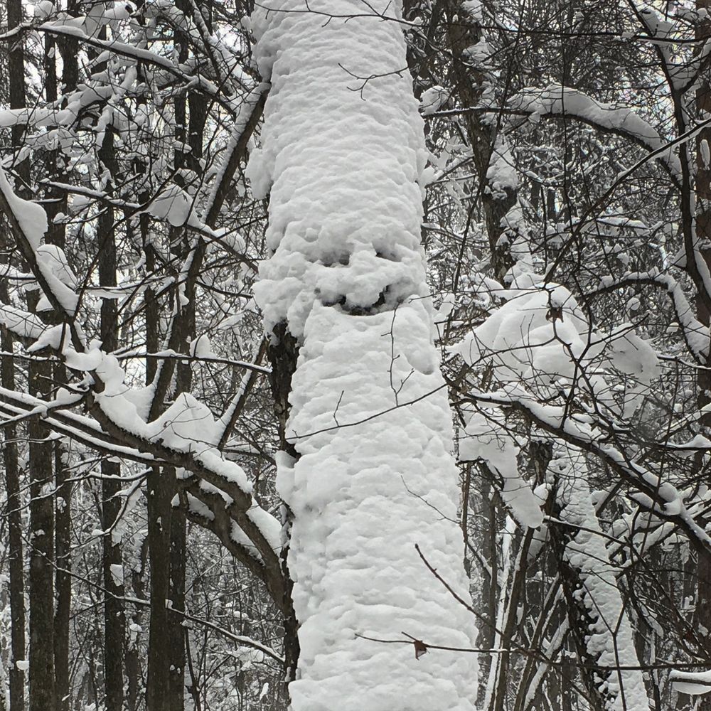 Photograph by Ионова Татьяна