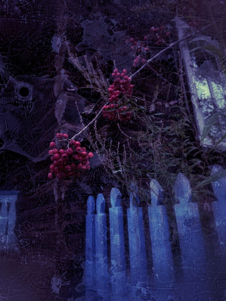 Photograph by Анастасия