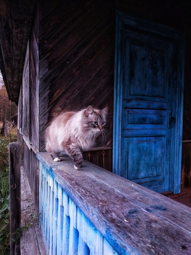 Photograph by Анастасия