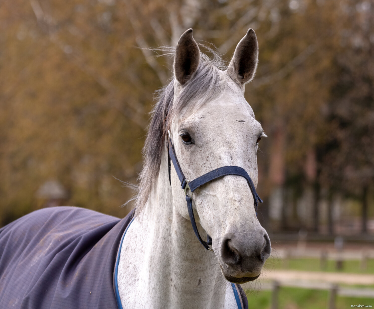 Photo #13132021