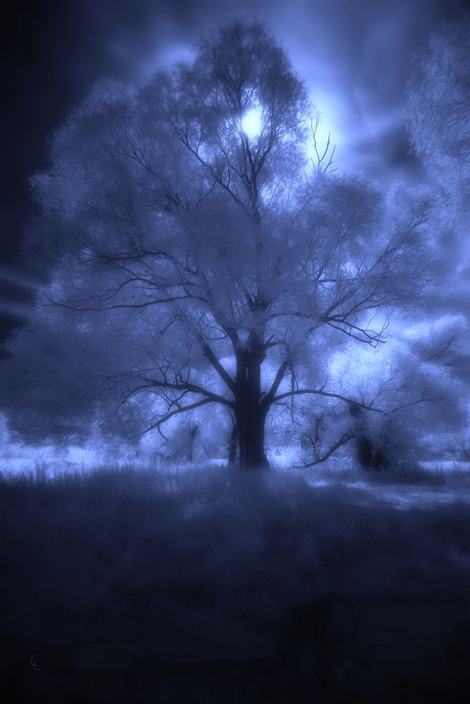 Photograph by Олег Красиков