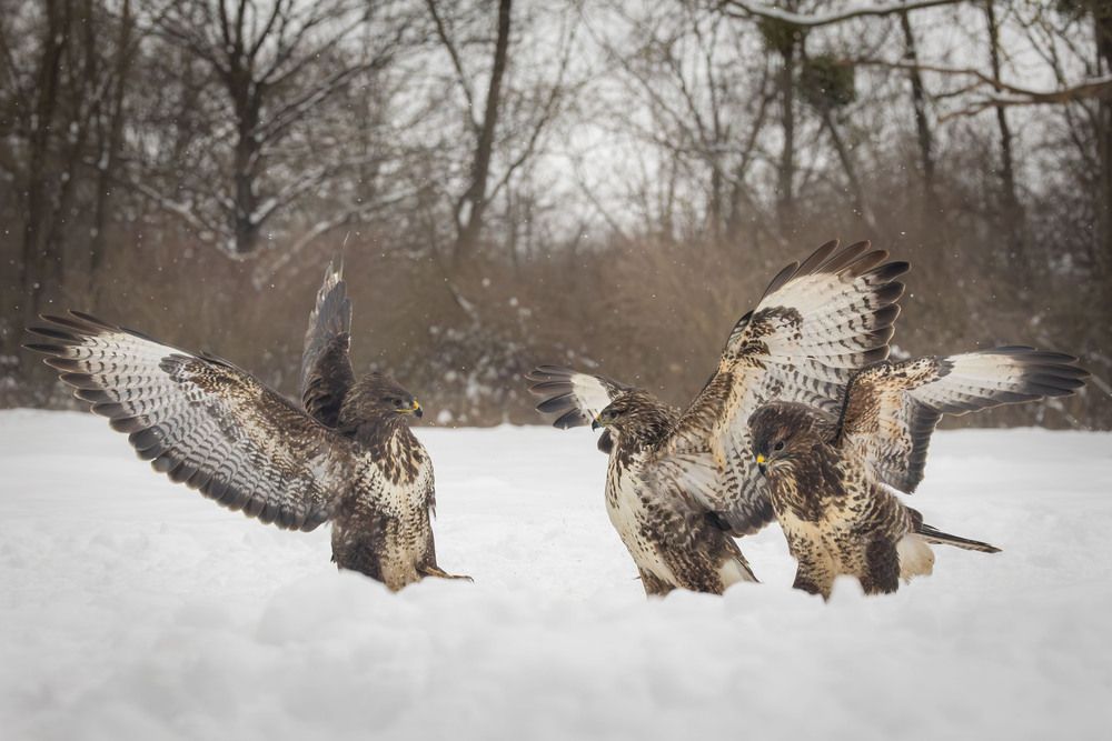 Photograph by Gabriella Magyar