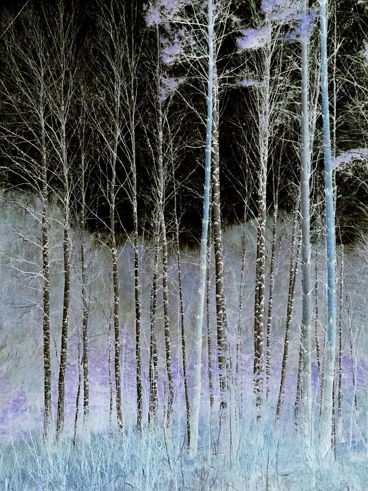 Photograph by Куделенко Оксана