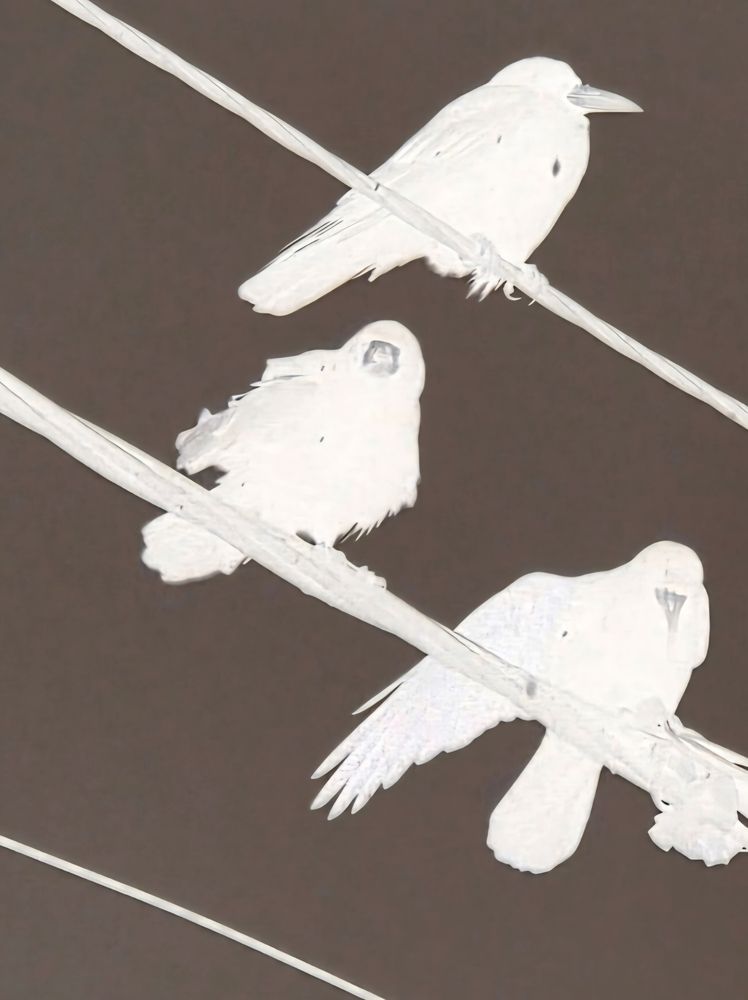 Photograph by Куделенко Оксана