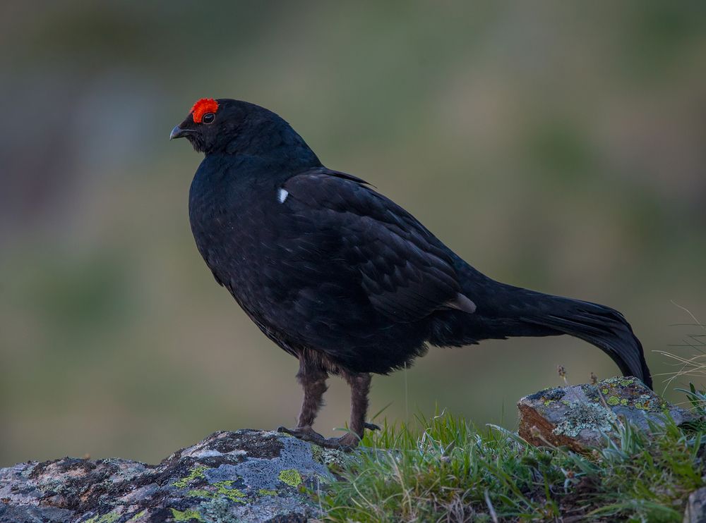 Photograph by Хасан Журтов