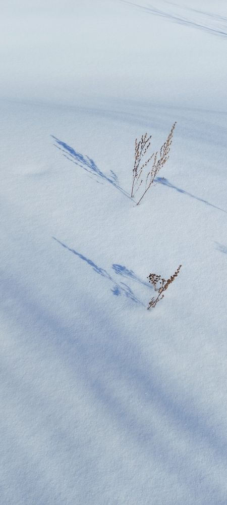 Фотография автора Неля Кочурова