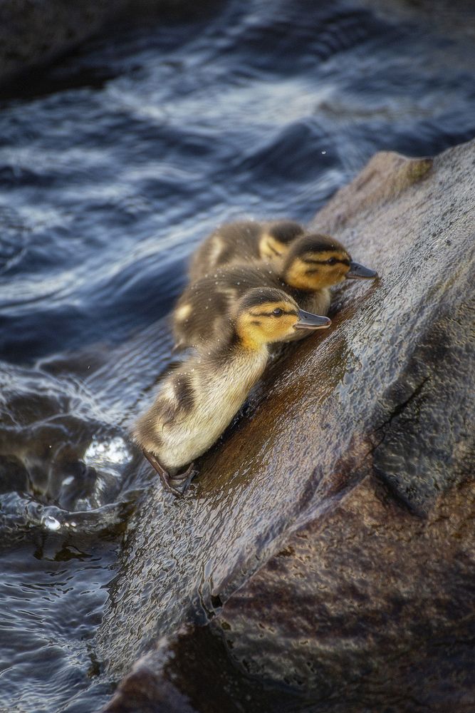 Photograph by Leanid Kulpo