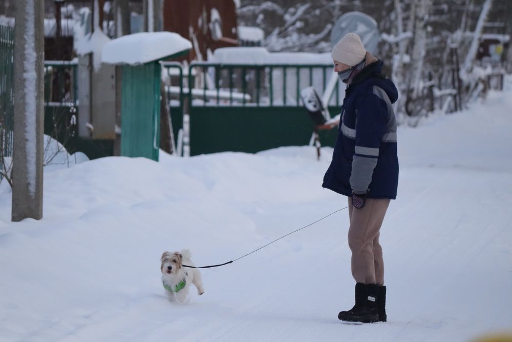 Photograph by Екатерина Александровна