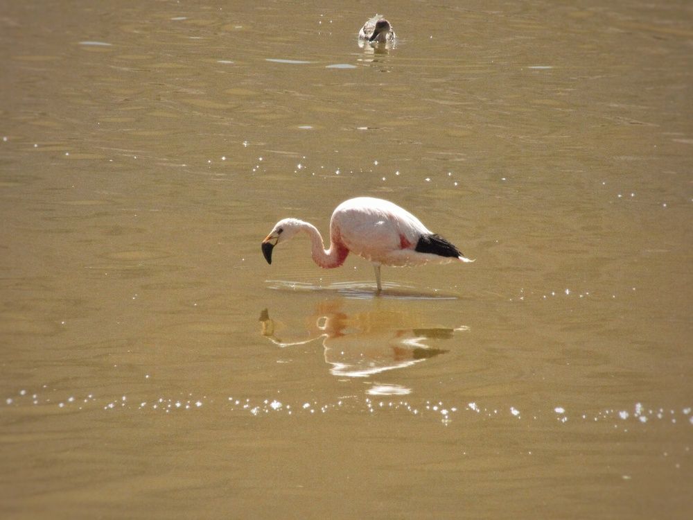 Photograph by Ярославна