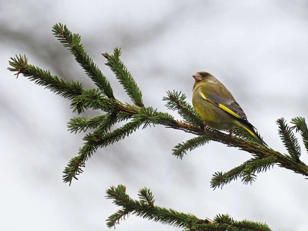 Photograph by Марианна Браун