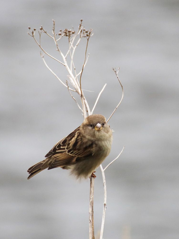 Photograph by Марианна Браун