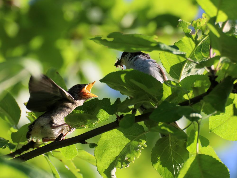 Photograph by Марианна Браун