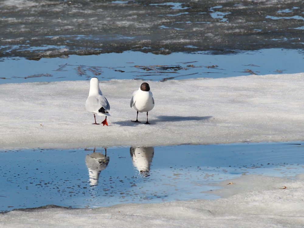 Photograph by Марианна Браун