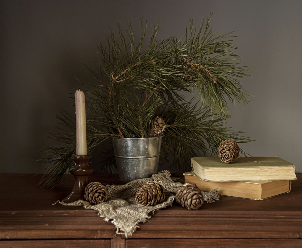 Photograph by Елена Рудкевич