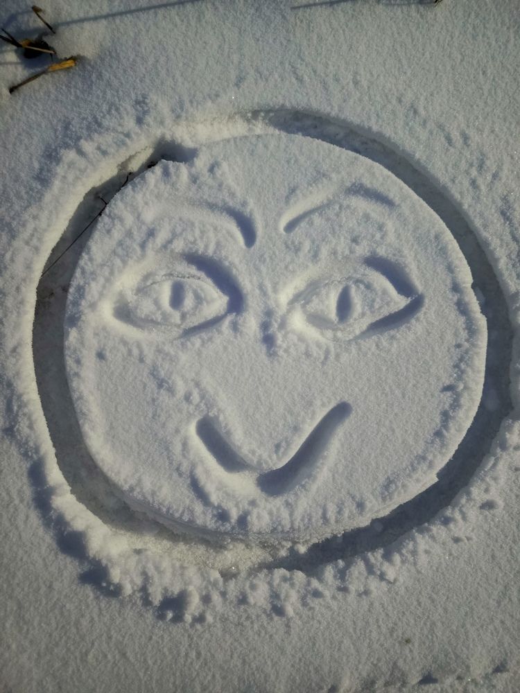 Фотография автора Татьяна Пальчикова