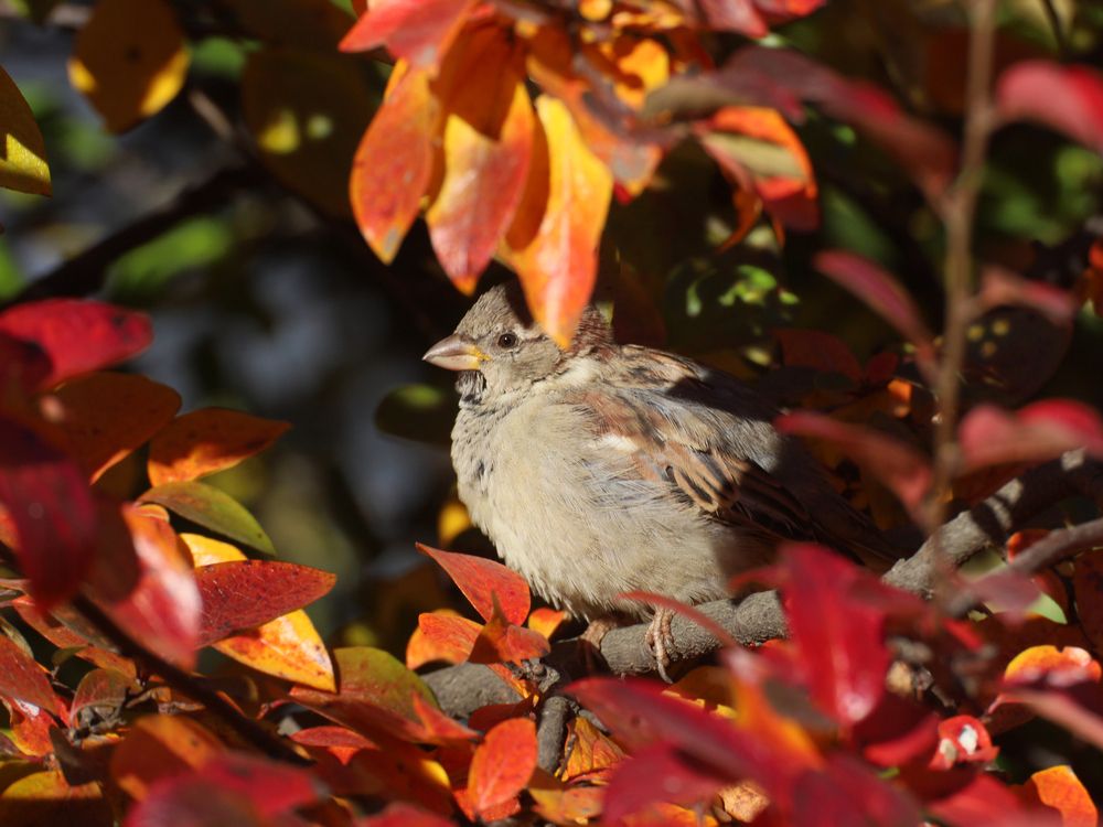 Photograph by Марианна Браун
