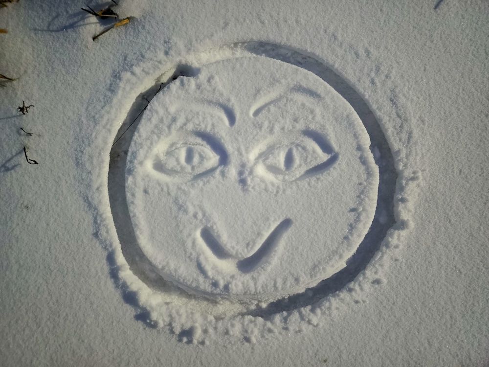 Фотография автора Татьяна Пальчикова