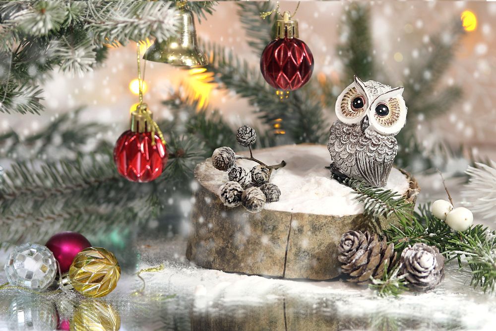 Photograph by Шруб (Беляева) Татьяна