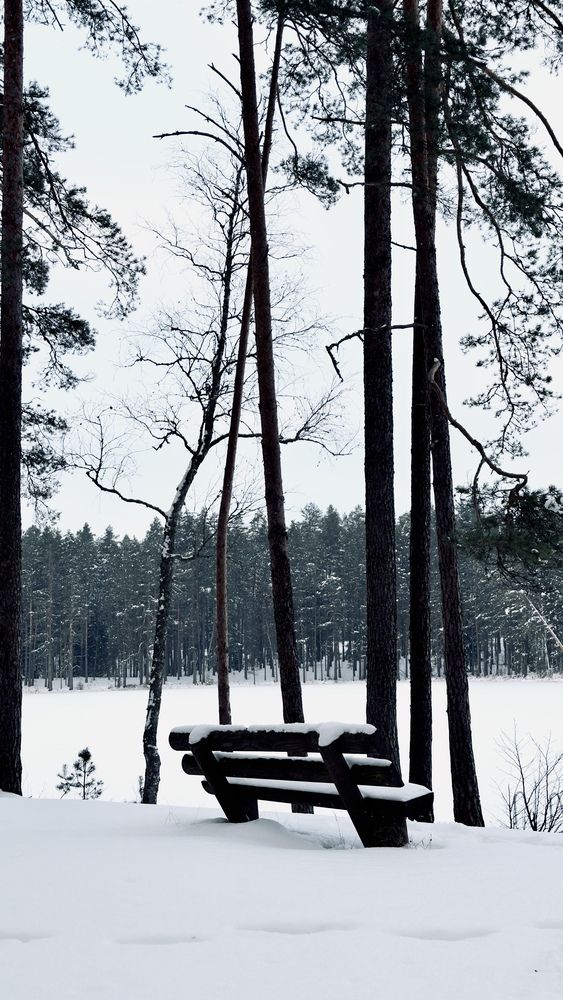 Photograph by Nataliia Pentjusa