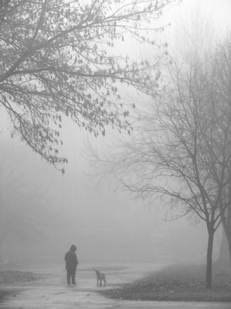 Photograph by Mila Nikolova