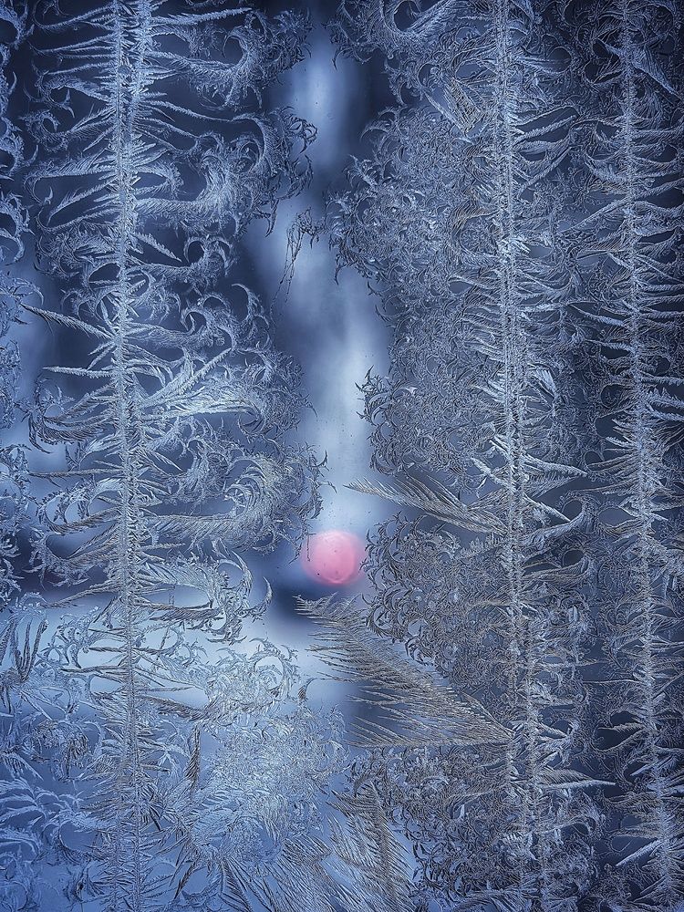 Photograph by Анна Зорька