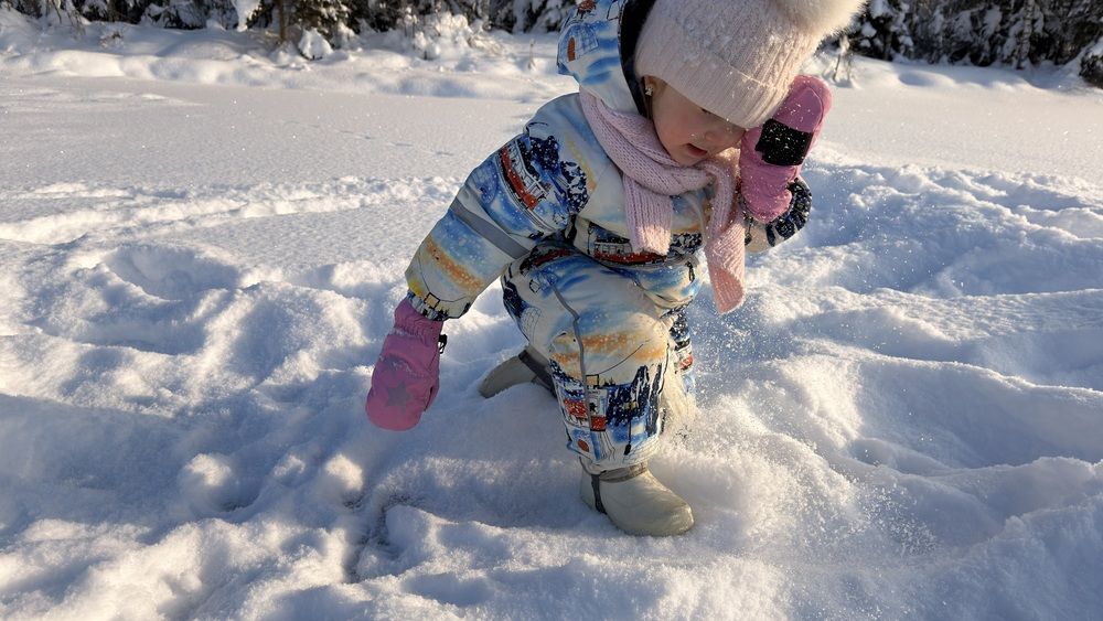 Фотография автора Дмитрий Самойлов