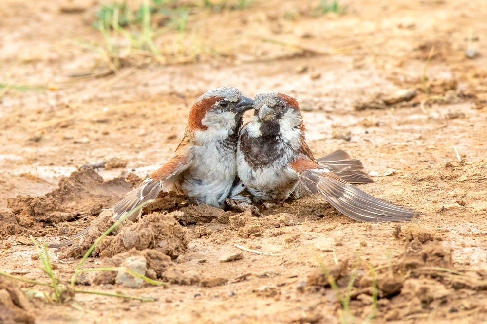 Photograph by Власов Егор