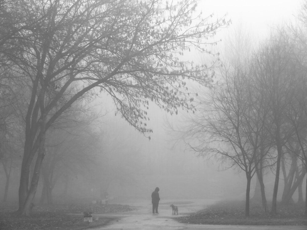 Photograph by Mila Nikolova