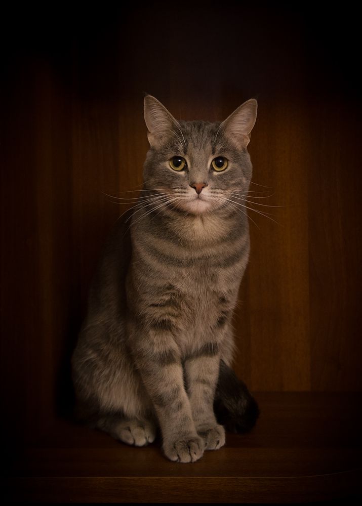Photograph by Алексеев Сергей