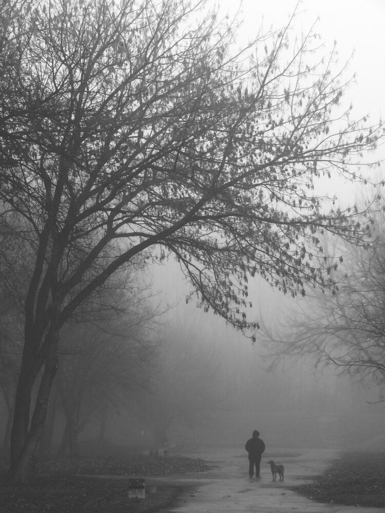 Photograph by Mila Nikolova