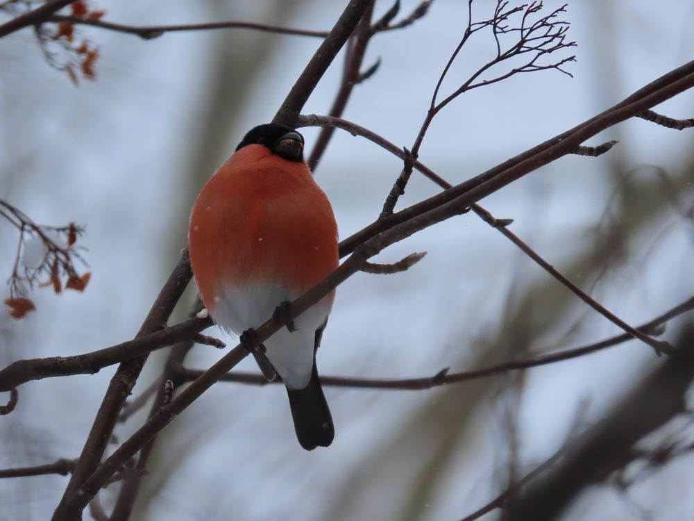 Photograph by Екатерина Рогожникова