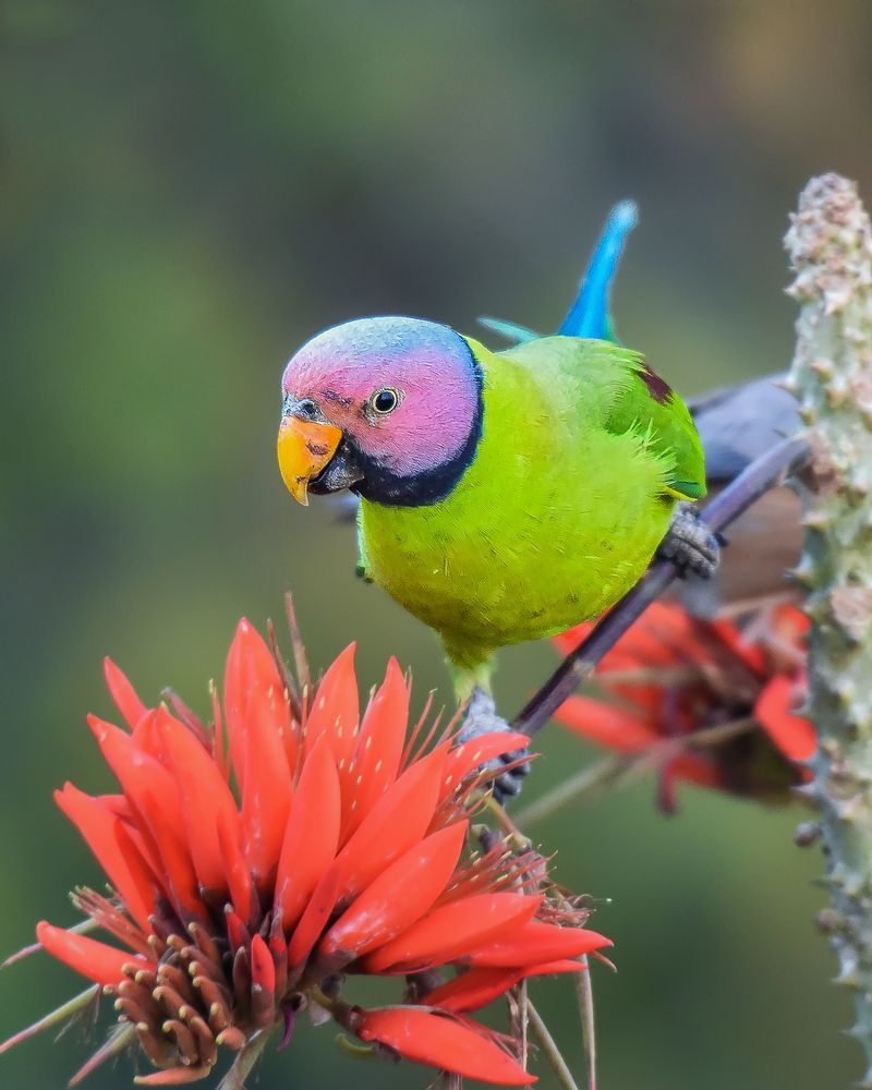 Photograph by Sifat Sharker