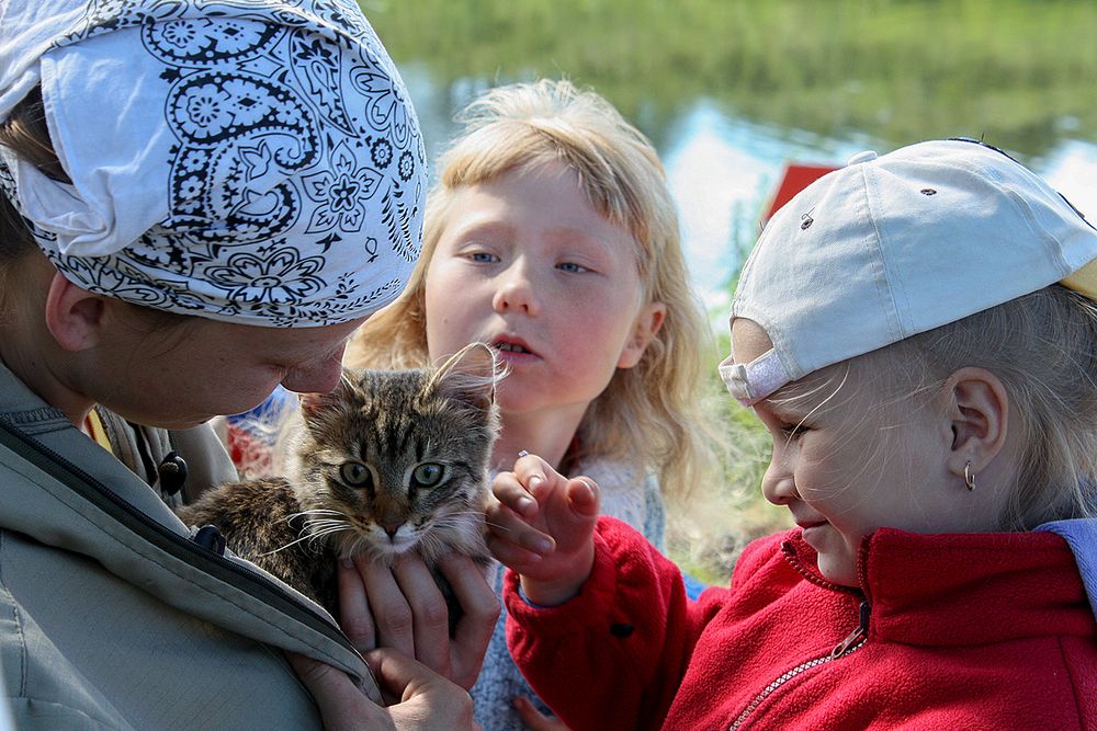 ,,Киса - Киса...,,