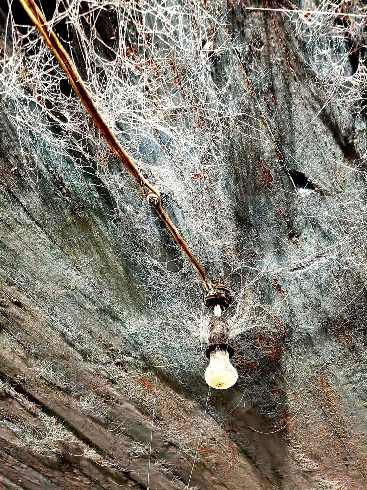 Photograph by Юрий Варюхин