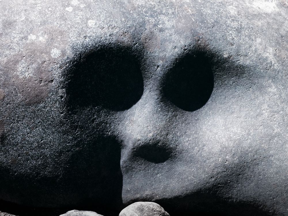 Photograph by Сергей Удовиченко