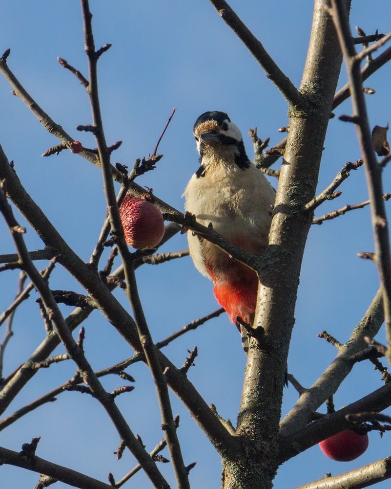 Photograph by Борис Журавлёв