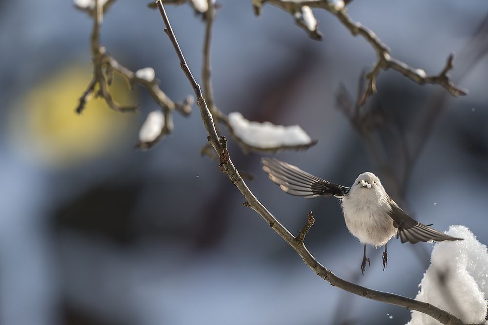 Фотография автора Андрей К. Белов