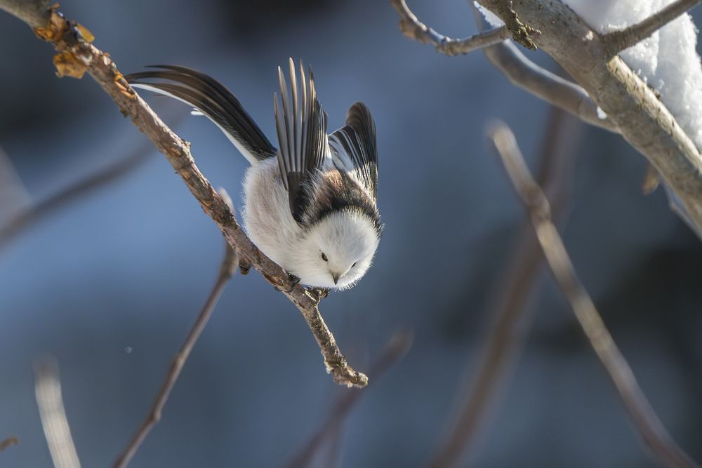 Фотография автора Андрей К. Белов