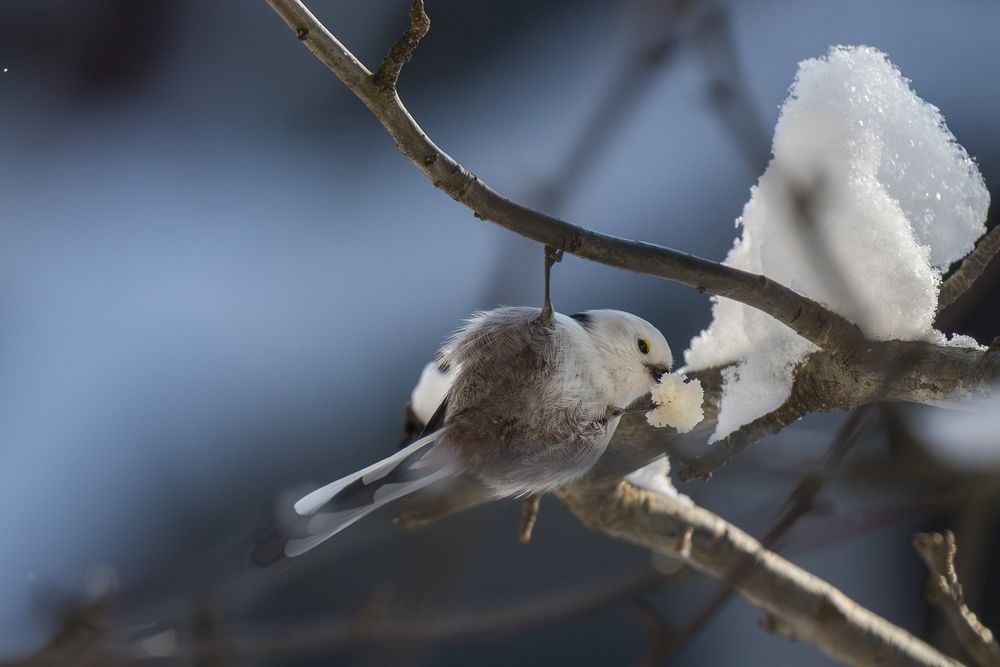 Фотография автора Андрей К. Белов