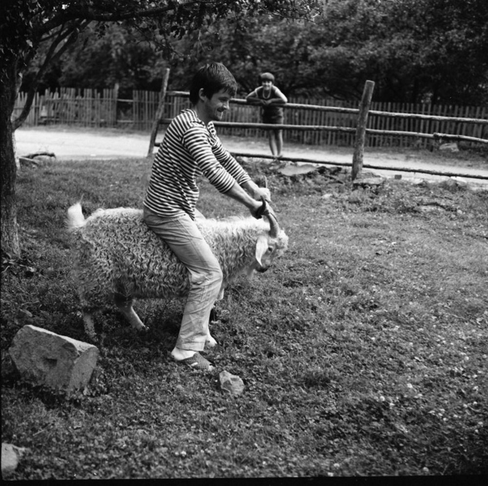 Photograph by Сергей Христинич