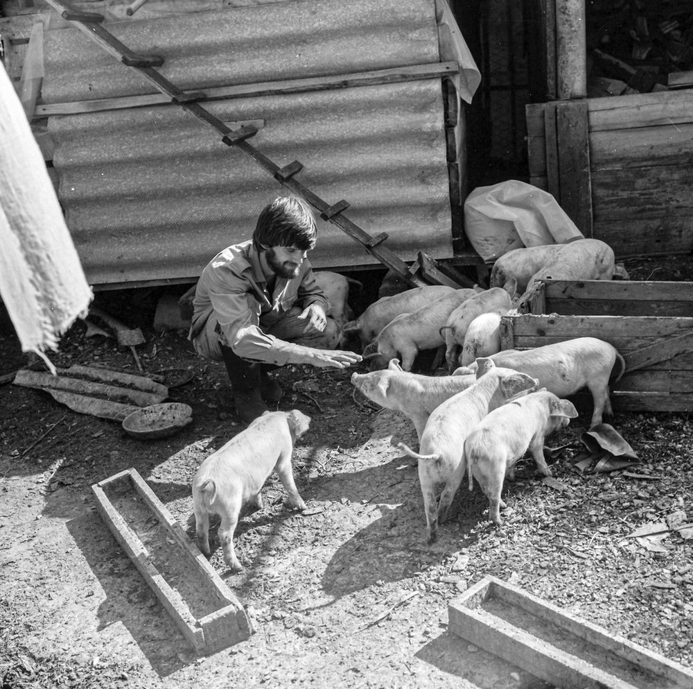 Photograph by Сергей Христинич