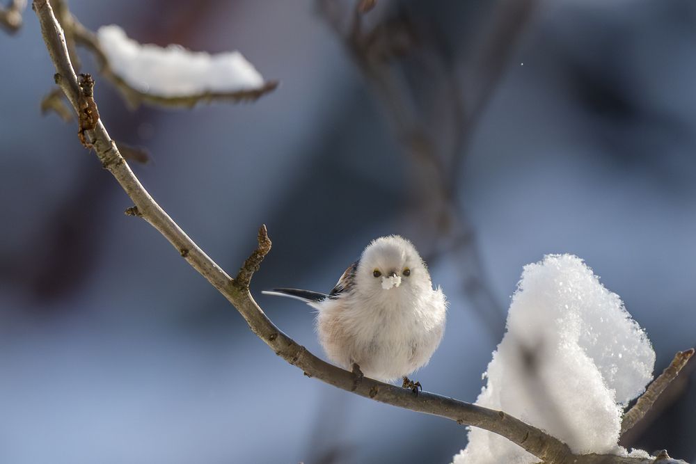 Фотография автора Андрей К. Белов
