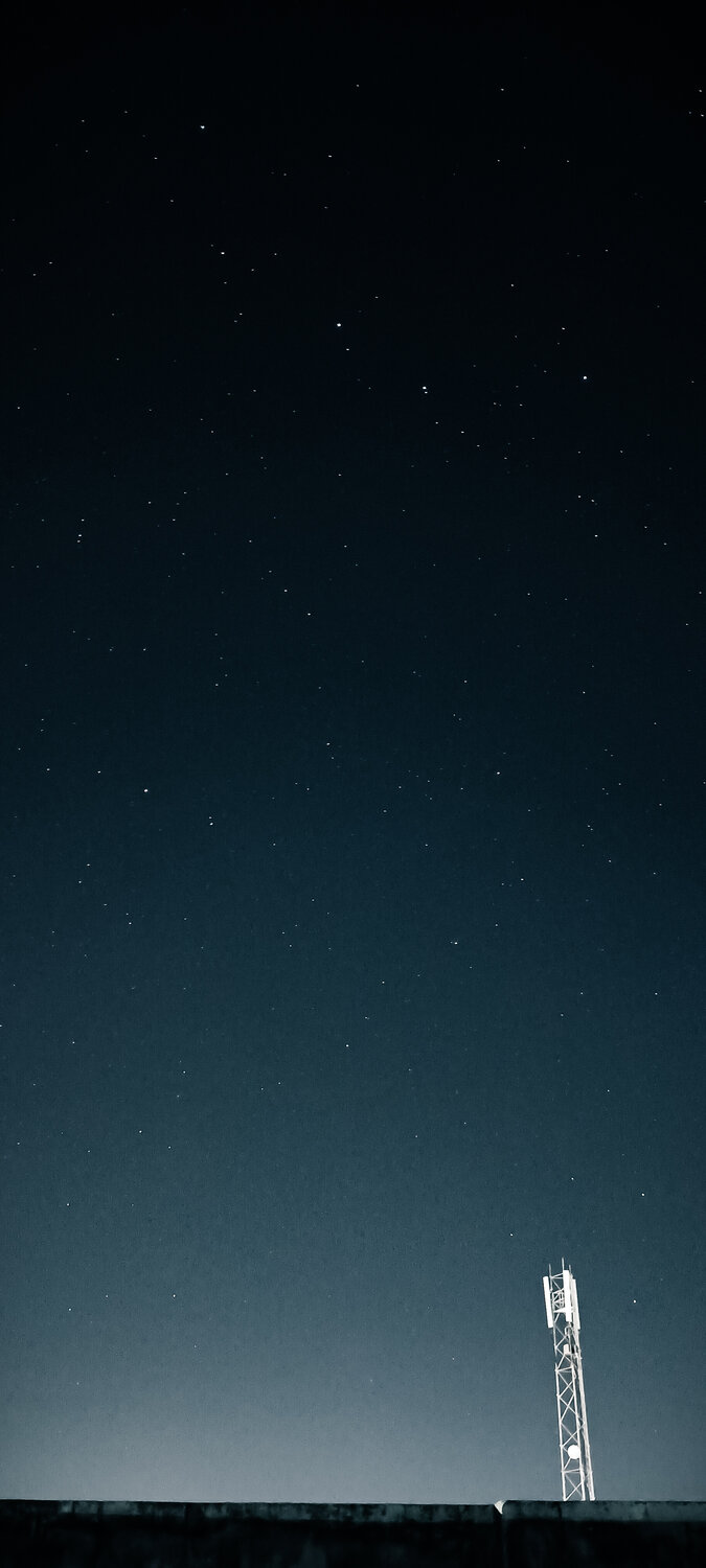 Photo #13132683