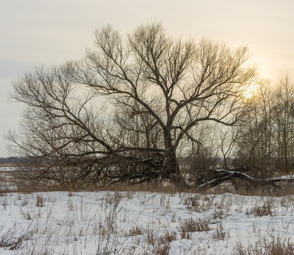 Photograph by Сергей Щербаков