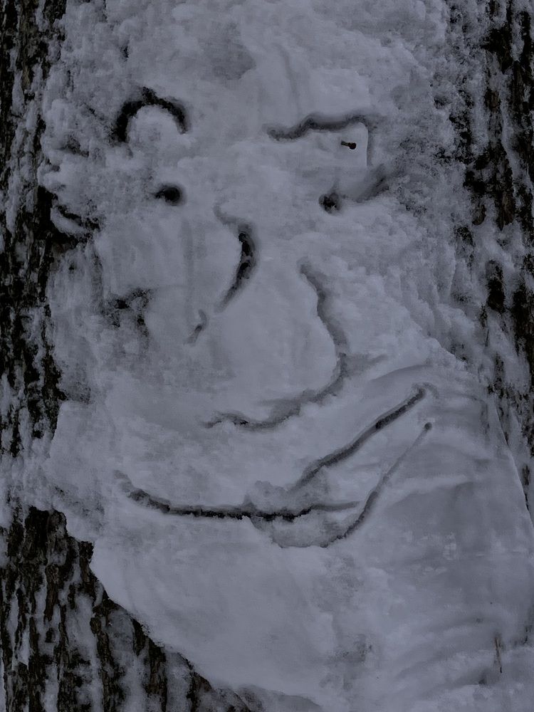 Photograph by Мария Карпычева