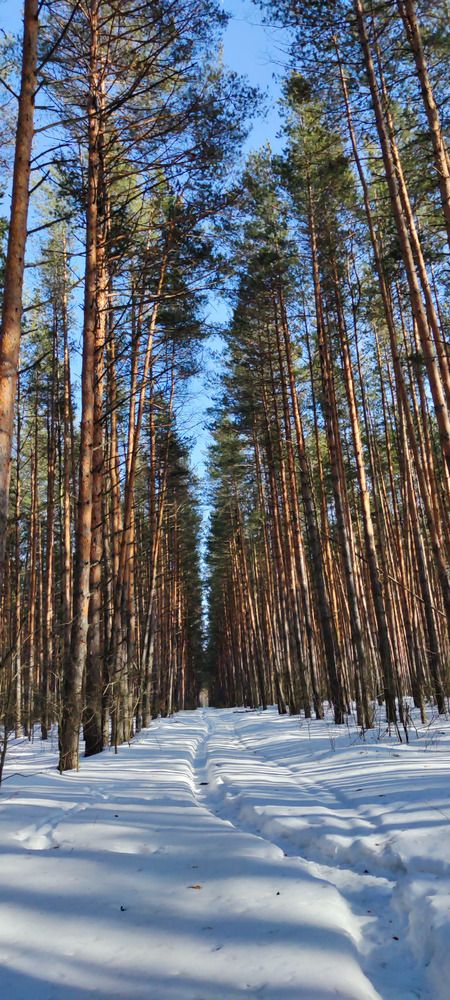 Photograph by Анастасия Кременчугская